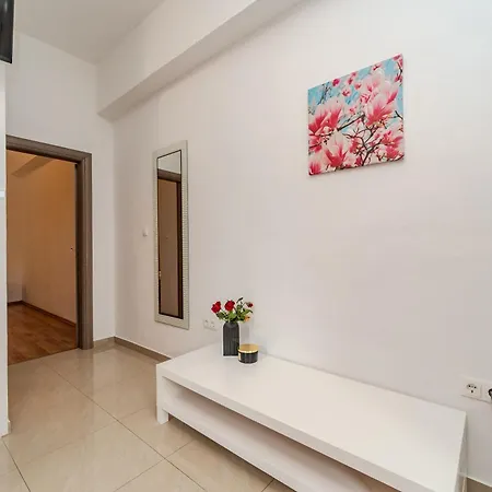 Apartmani Dali Novalja Exterior photo
